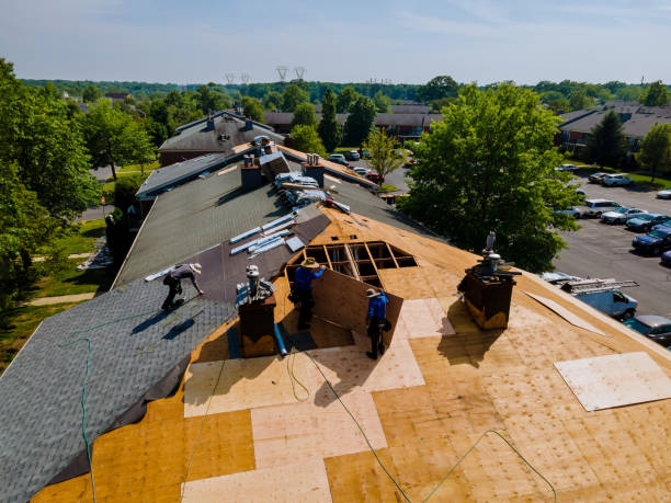 Trusted Roof Replacement service in Box Springs, GA - Brentwood Metal Roofing